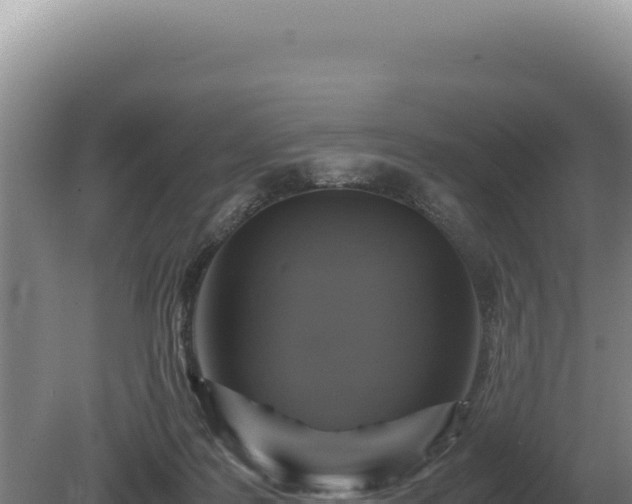 X0000081470219200701191814