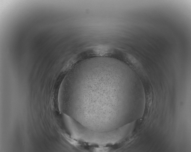 X0000081470221200701191814