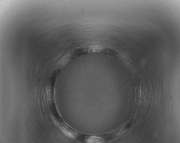 X0000081470222200701191814