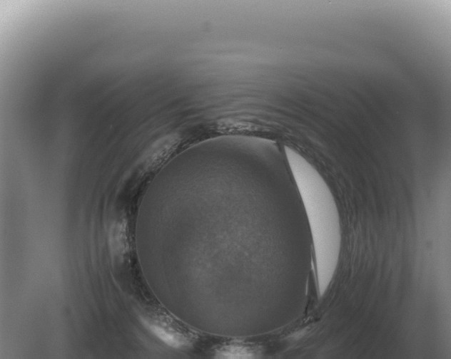 X0000081470224200701191814