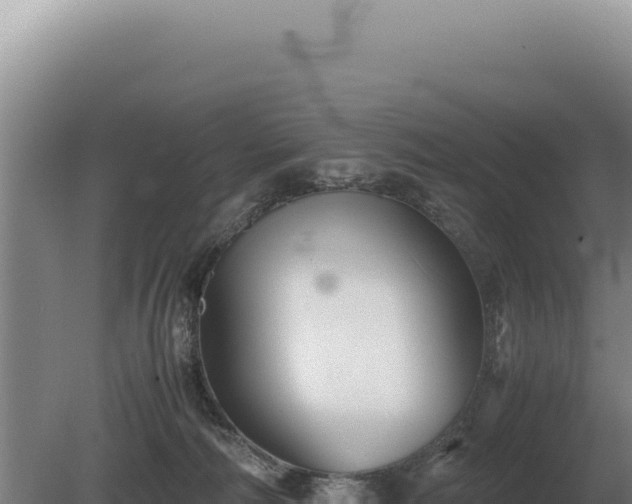 X0000081470226200701191814