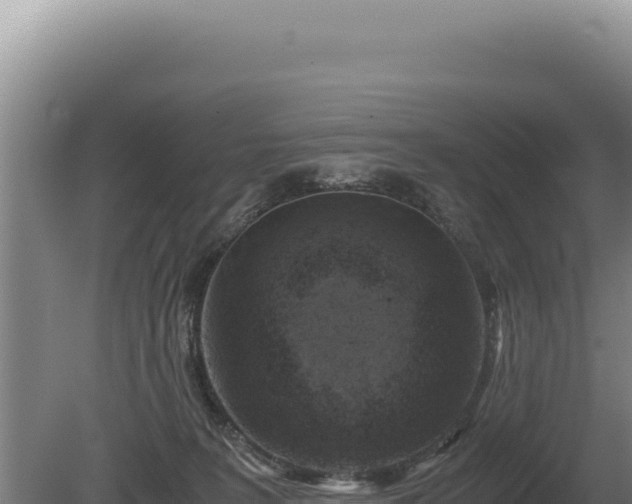 X0000081470227200701191814