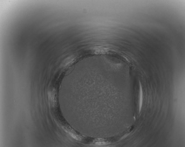 X0000081470228200701191814