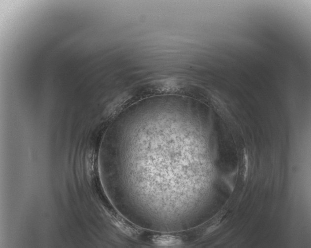 X0000081470230200701191814