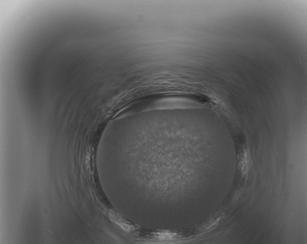 X0000081470233200701191814