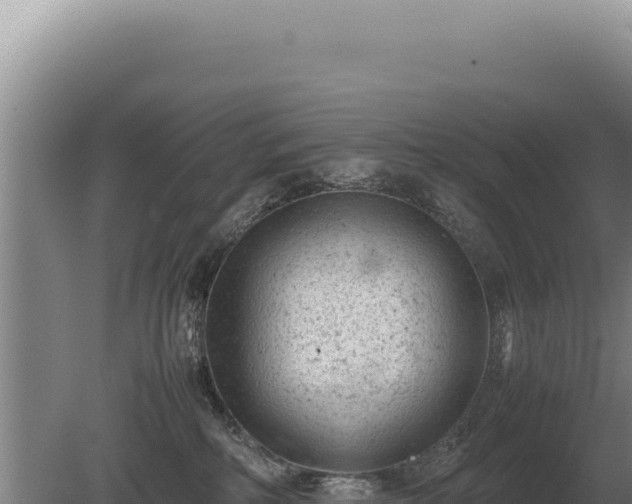 X0000081470234200701191814