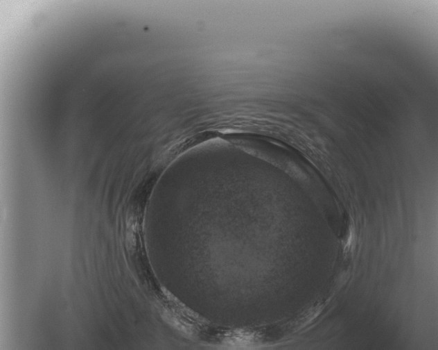 X0000081470235200701191814