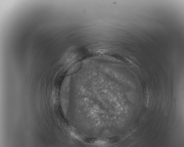 X0000081470236200701191814