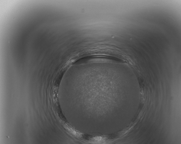 X0000081470237200701191814