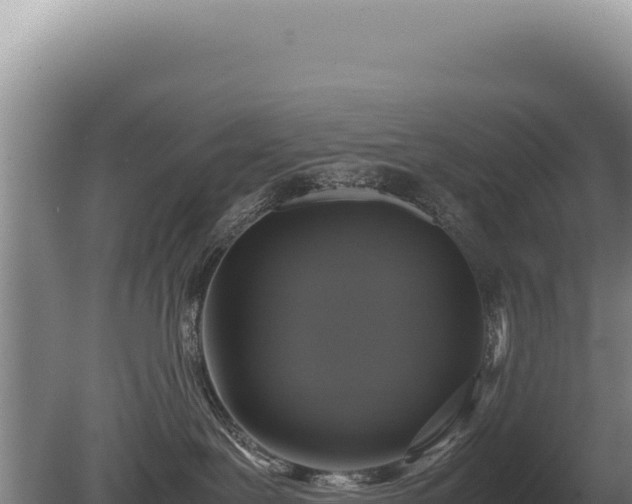 X0000081470239200701191814