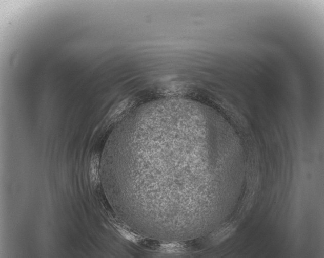 X0000081470240200701191814