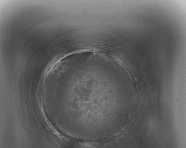 X0000081470241200701191813