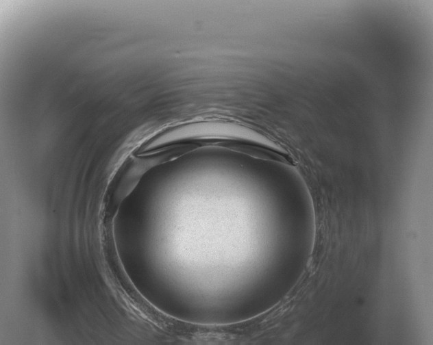 X0000081470242200701191813