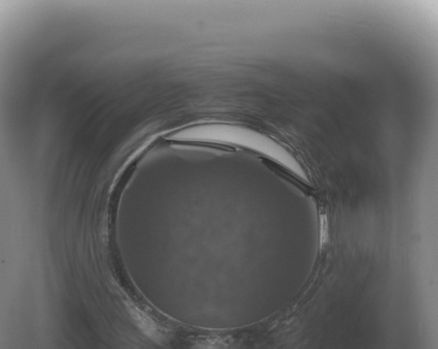 X0000081470243200701191813