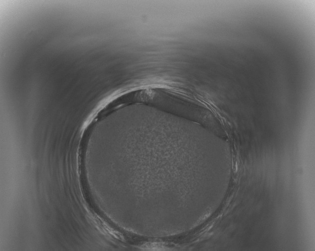 X0000081470244200701191813