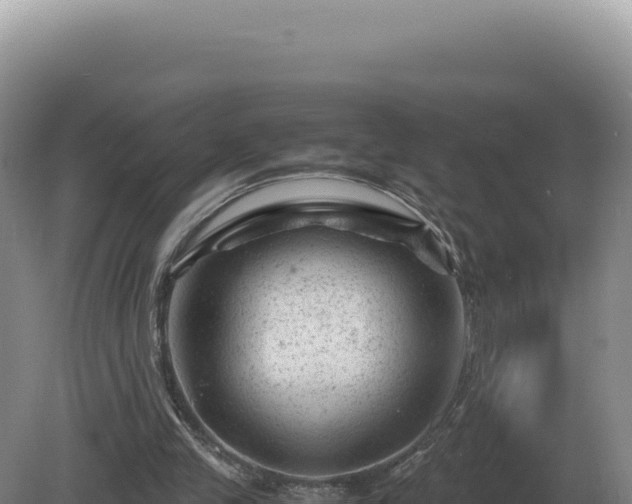 X0000081470245200701191813