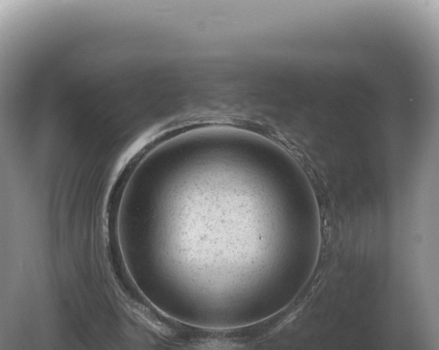 X0000081470246200701191813