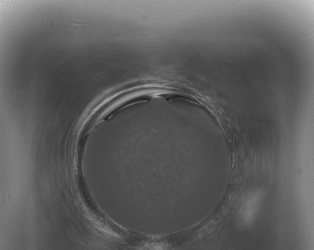 X0000081470247200701191813