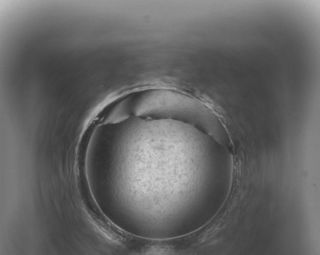 X0000081470248200701191813