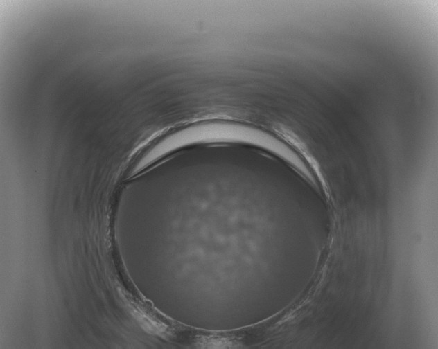 X0000081470249200701191813