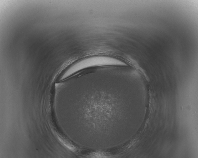 X0000081470250200701191813