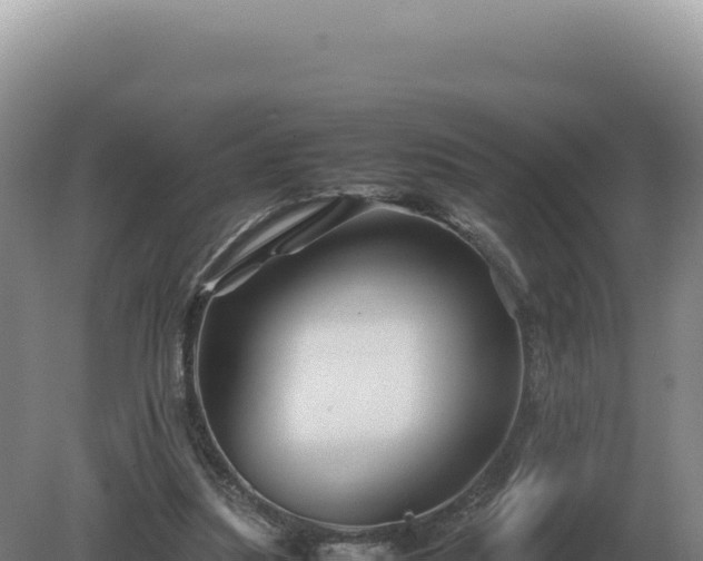 X0000081470251200701191813