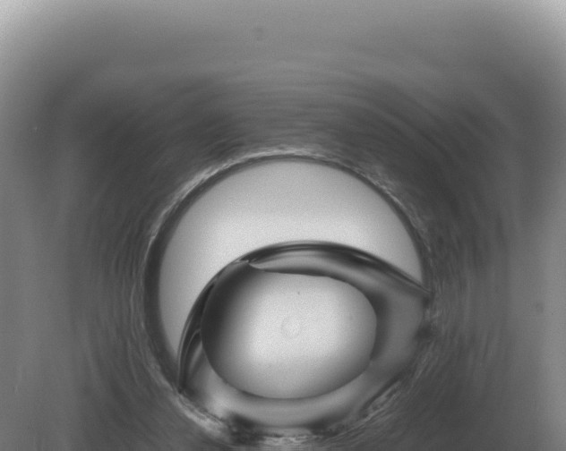 X0000081470252200701191813