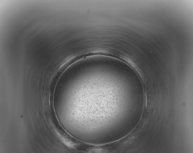 X0000081470253200701191813