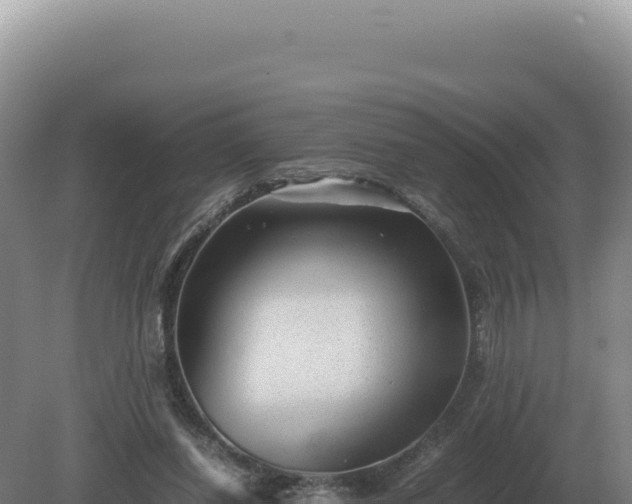 X0000081470254200701191813