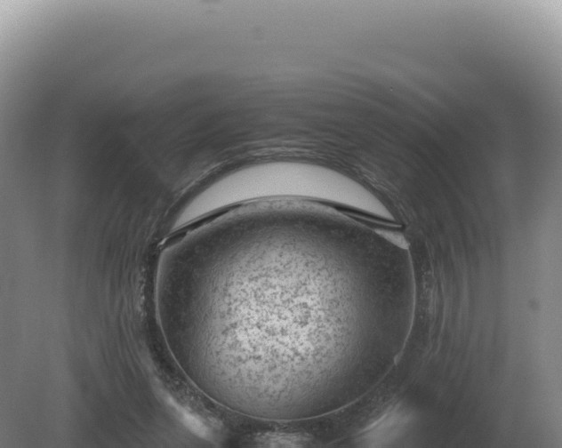 X0000081470255200701191813