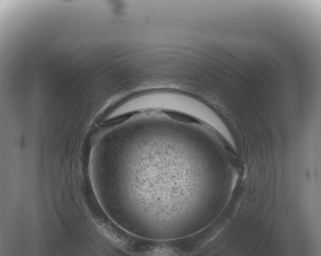 X0000081470256200701191813