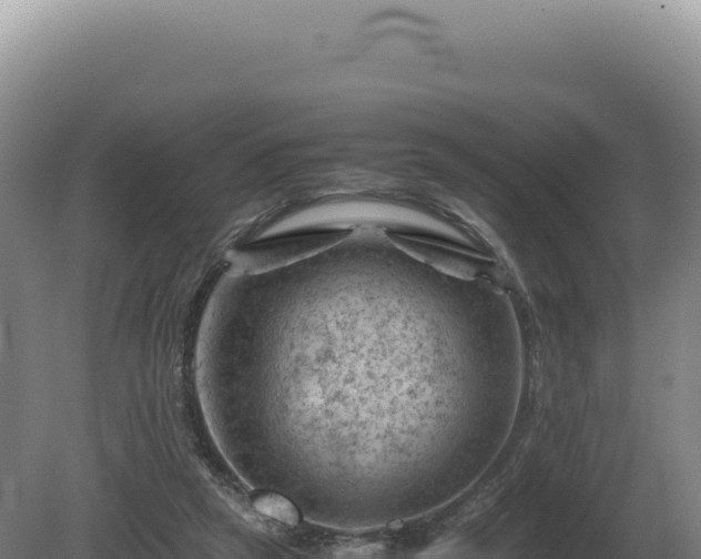 X0000081470257200701191813