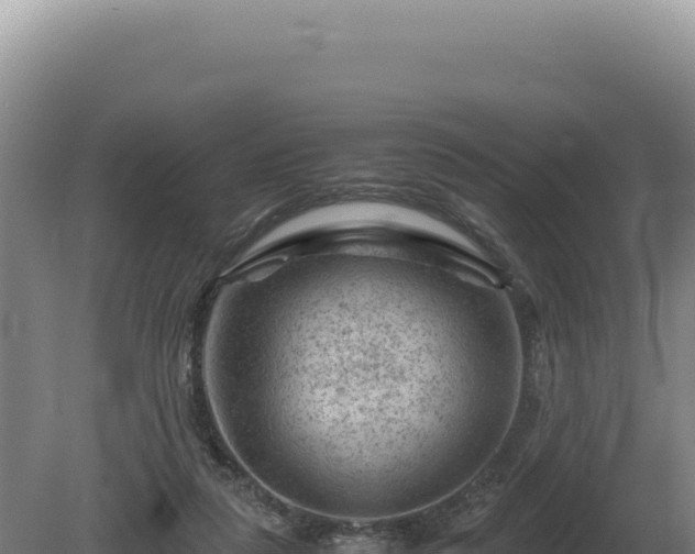 X0000081470259200701191813