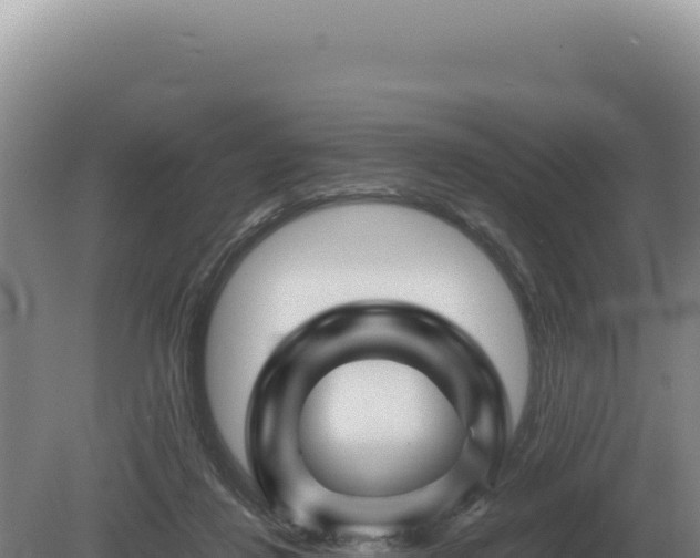 X0000081470260200701191813