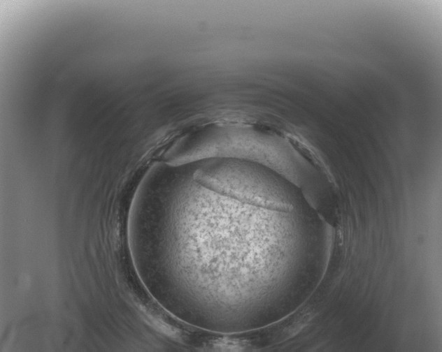 X0000081470261200701191813