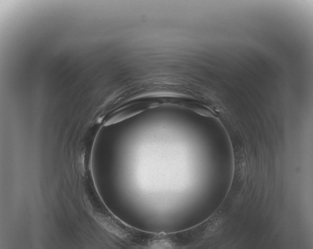 X0000081470262200701191813