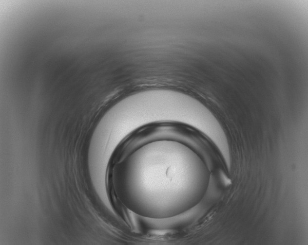 X0000081470264200701191813