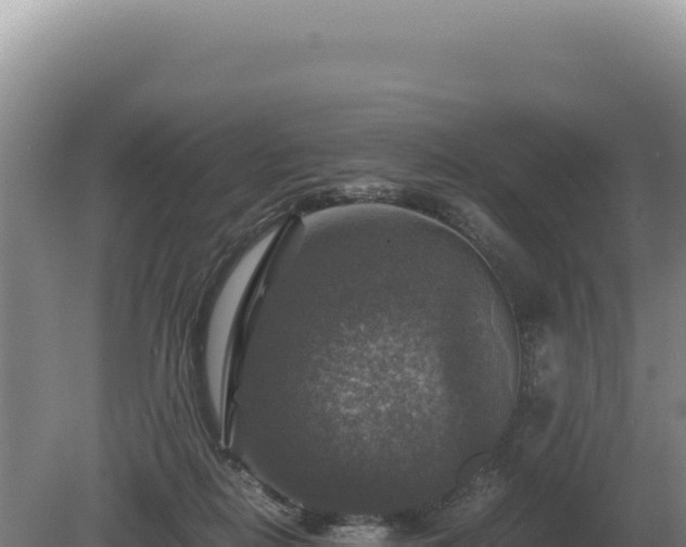 X0000081470266200701191813