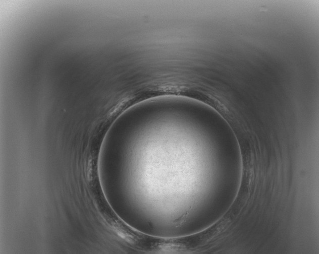 X0000081470268200701191813