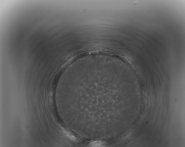 X0000081470269200701191813