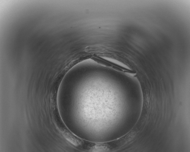 X0000081470270200701191813