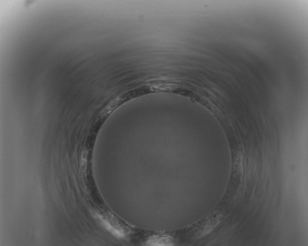 X0000081470271200701191813