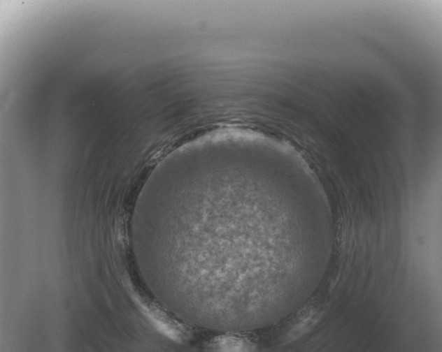 X0000081470272200701191813