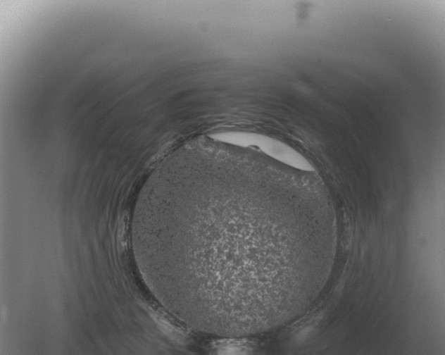 X0000081470273200701191813