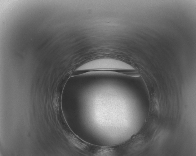 X0000081470274200701191813