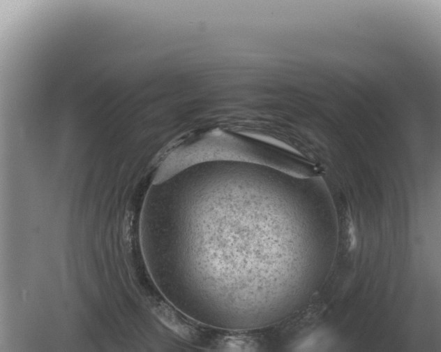 X0000081470275200701191813