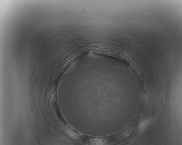 X0000081470277200701191813