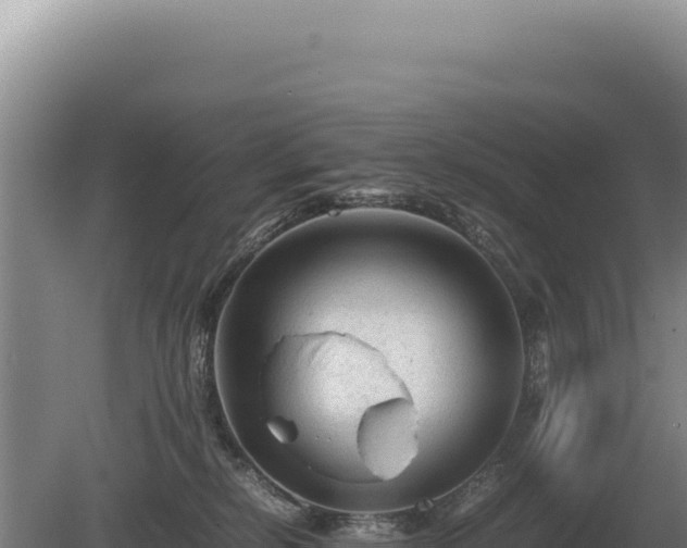 X0000081470278200701191814