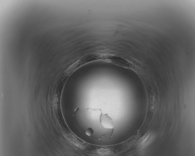 X0000081470279200701191814