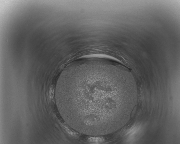 X0000081470281200701191814